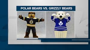 Battle Of The Mascots Leafs Polar Bear Vs Bruins Grizzly Bear Citynews Toronto