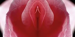 Artikel merupakan jenis tulisan yang populer dan banyak dihasilkan oleh para penulis. Seperti Apa Warna Vagina Yang Normal