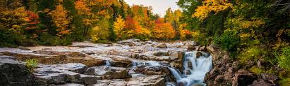 Maybe you would like to learn more about one of these? Top 20 White Mountains Us Cabin Rentals Vrbo