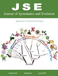 Image result for Eureiandra eburnea