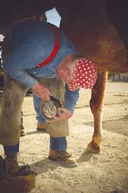 Image result for White 1972 Roper