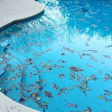 Tired Of Those Leaves In The Pool Check Out The Most Advanced Skimmer On The Market Skimdevil Cleanpool Pool In 2020