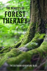 The association of nature and forest therapy guides and programs is the most experienced global leader promoting the development and practice of forest therapy. Association Of Nature And Forest Therapy Anftglobal Profile Pinterest