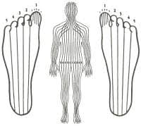 how does reflexology work taking charge of your health