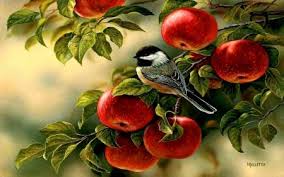 Bird Sitting On Branch Painting Bird Sitting On A Branch Of A Apple Tree Desktop Nexus Wallpapers Cross Paintings Bird Art Diamond Drawing