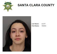 Video: Woman arrested in Milpitas for human trafficking of a minor