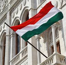 „expoziția, finanțată din fonduri publice, îi prezintă și pe cei doi extremiști condamnați definitiv pentru tentativă de. Primarul Din Sfantu Gheorghe A Arborat Numai Steagul Ungariei Pe StrÄzile Din OraÈ Stirileprotv Ro