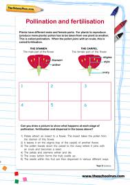 View, download and print soil ation worksheet pdf template or form online. Coal Formation Worksheet Class V Pdf
