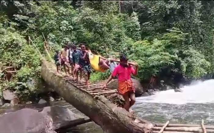 With no road, Edamalakkudy man carried on bamboo stretcher for 10 km via dense forest to hospital - The Hindu