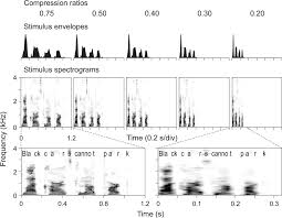 Visit the post for more. Temporal Envelope Of Time Compressed Speech Represented In The Human Auditory Cortex Journal Of Neuroscience