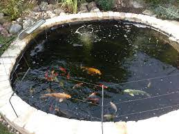 The pondxpert pond protector is a floating fish pond net that is made up of 30 rings that interlock that stops access to the pond from herons and. My Raised Pond Possible Heron Protection Method Pond Design And Construction Forum Pond Life