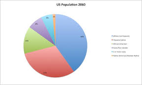 15 projected racial composition of us population pie chart