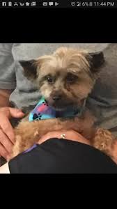 Pleasant plain, Warren County