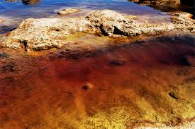 Steve jurczyk, nasa's acting administrator, said in the moments after: Science Results Nasa Mars