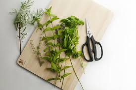 11 maneiras de usar sua tesoura de cozinha - Andrew Zimmern