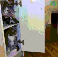 We regularly add new gif animations about and. Hide And Seek Gifs Get The Best Gif On Gifer