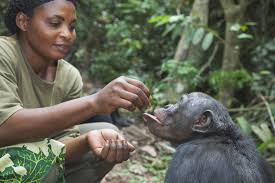 Zookeeper Job Description Salary Skills More Zoologist Career Zoology Career Zoo Keeper