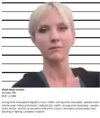 Shiloh Hendricks is white lady in Minnesota who went viral for calling a  Black child the n-word at a public park. Supporters of hers started a  GoFundMe and raised atleast $650k for