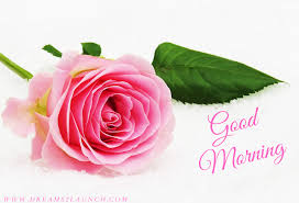 Lovely whatsapp status for best friends. Top 70 Beautiful Good Morning Images à¤— à¤¡ à¤® à¤° à¤¨ à¤—