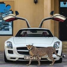 pin on cars pt 2