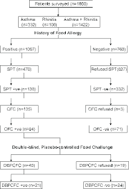 Flow Chart Describing The Steps Involved In Patients