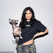 Kylie Jenner Responds To Twitter Follower Who Demands To Know What Happened To Her Dog Norman Daily Mail Online