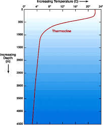 ocean temperature marinebio conservation society