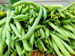 Even if your green beans are fully cooked they can still be frozen for longer storage. How To Freeze Fresh Green Beans Without Blanching Great For Gardens