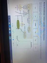 Compare and contrast the electron transport system location and function in a prokaryotic cell and a eukaryotic cell. Solved Survey The Landscape Cellular Respiration Reacta Chegg Com