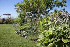 Grosszugige Gartenanlage Mit Schwimmteich Mit Bildern Gartengestaltung Garten Gartenanlage