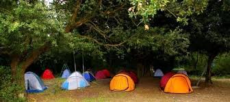 Camp Out Ideas For A Girl S Birthday Ehow Camping Games Youth Camp Survivor Challenges