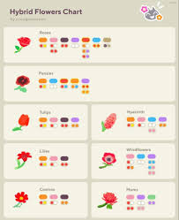Hybrid Flower Chart In 2020 Animal Crossing Animal Crossing Game Flower Chart