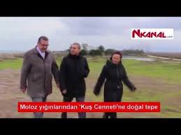 Samsun Moloz Yiginlarindan Kus Cenneti Ne Dogal Tepe Kus Dogal