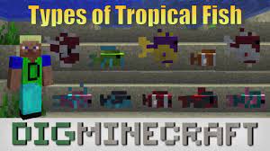 It appears that the waters don't matter too much, as long as they are not icy. Tropical Fish In Minecraft