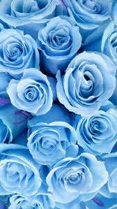 Blume Hintergrunde Iphone Android Blumen Hochzeit Light Blue Aesthetic Blue Roses Wallpaper Blue Flower Wallpaper