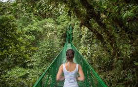 Why Your Brain Needs More Downtime Scientific American