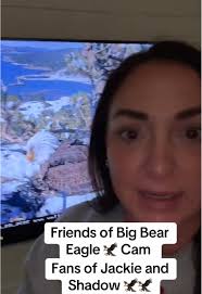 Anxiety Watching Eagles in Bug Bear