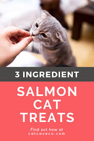 It is a rare condition, but common among cats that are regularly fed raw fish the answer is no, it's not safe for cats to eat raw salmon. Pin On Cat Food Ideas