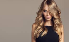Long island based salon with 8 locations and over 200 professional beauty experts ready to impress you with their incredible talent! Cactus Salon Up To 76 Off Groupon