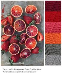 Similar to 'same,' but 'mood' became more common if something is especially relatable, one might say 'big mood.' this implies that your whole being is one. Fruit Sucre Combinaisons De Couleurs De Fil Equilibre Des Couleurs Palette De Couleurs