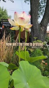 It's been a lifetime of dreams come true with you @shorter417 So much more  than can be fit into a reel... I dont know why, but this new Beyoncé song  has me