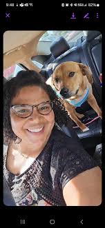 How much did you pay for dog leg amputation without insurance?