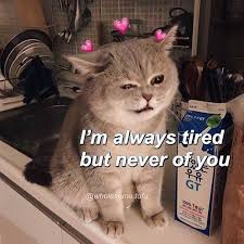 I Love You Say It Back On Instagram Straight F A K K S ғollow Iloveyumore P5p2 Me ғo Love You Meme Uplifting Memes Cute Love Memes