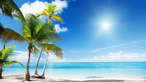 Search free wallpapers, ringtones and notifications on zedge and personalize your phone to suit you. Fiji Desktop Wallpapers Top Free Fiji Desktop Backgrounds Wallpaperaccess