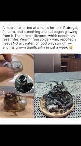 Crecimiento Alienígena Tras Meteorito en Pedregal, Panamá | TikTok
