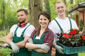 Terra Firm team at work