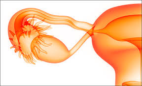 Symptoms of ovarian cancer may appear in the early stages, but they often do not appear until later. What You Need To Know About Ovarian Cancer Clearity Foundation