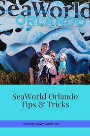 Result Sgp Togel Singapore Data Sgp Hari Ini Keluaran Sgp Orlando Travel Sea World Seaworld Orlando