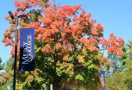 The College of New Rochelle Mercy College