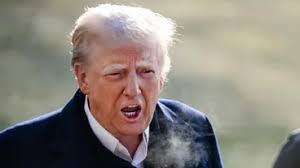 Trump Proposes 'Getting Rid Of FEMA' While Visiting North Carolina